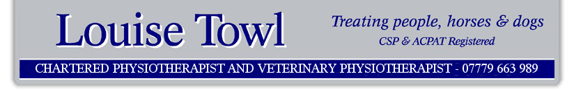 Louise Towl Physiotherapist - Chartered